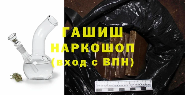крисы Корсаков