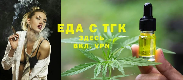 крисы Корсаков