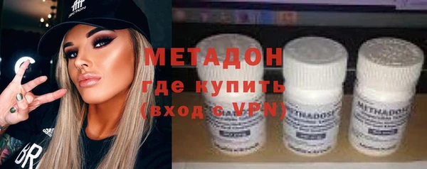 крисы Корсаков