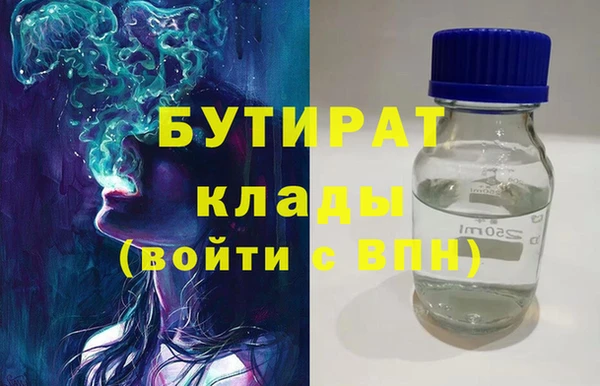крисы Корсаков