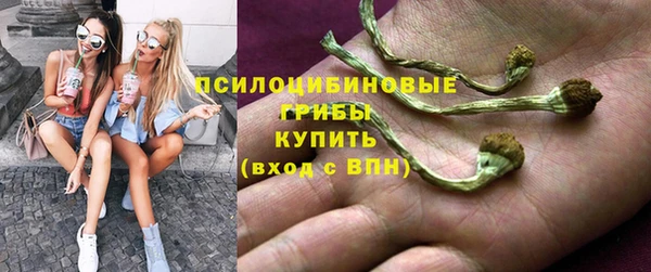 дмт Краснослободск