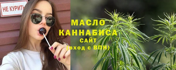 дмт Краснослободск