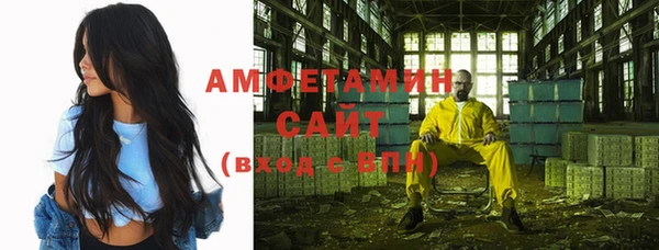 крисы Корсаков
