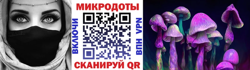 Галлюциногенные грибы Psilocybe  kraken   Нерехта  закладка 
